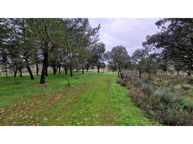 Foto ee95ca54-900c-4be9-b8b7-10df96eeb255. Wohngrundstück in 24 46 in Ciudad Rodrigo