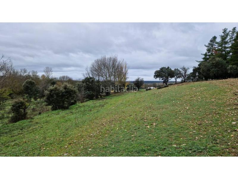 Foto f35219a8-8509-4f95-9da7-1f4a62ebd4b4. Wohngrundstück in 24 46 in Ciudad Rodrigo