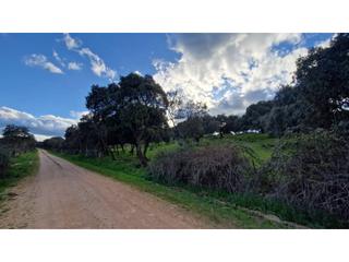 Terreny residencial a Ciudad Rodrigo. Parcela o monte