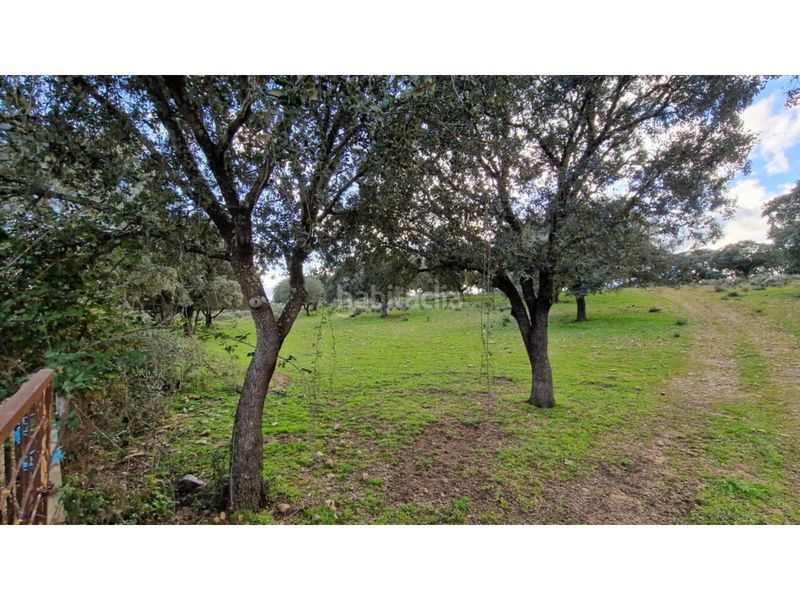 Foto dd9020d0-2a17-4fbf-87e6-08853aaa41f3. Finca rústica a Ciudad Rodrigo