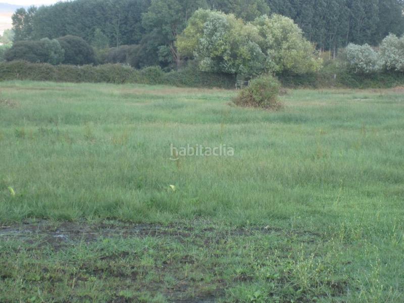 Foto 18b0cd79-bb17-4cde-8f6e-1974de253e7e. Terrain résidentiel dans Ciudad Rodrigo