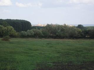 Terreny residencial  15. Terreno en venta en ciudad rodrigo