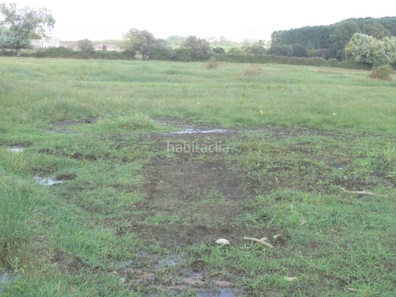 Foto ccb446bb-2e79-4c72-9e86-f211ee2fb1c7. Terrain résidentiel dans Ciudad Rodrigo