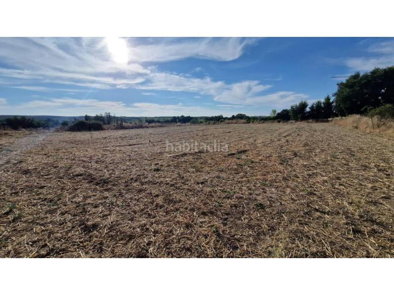 Foto 6831c48c-87b7-46c3-a88d-1824b9135996. Chalet mit parking pool in Ciudad Rodrigo