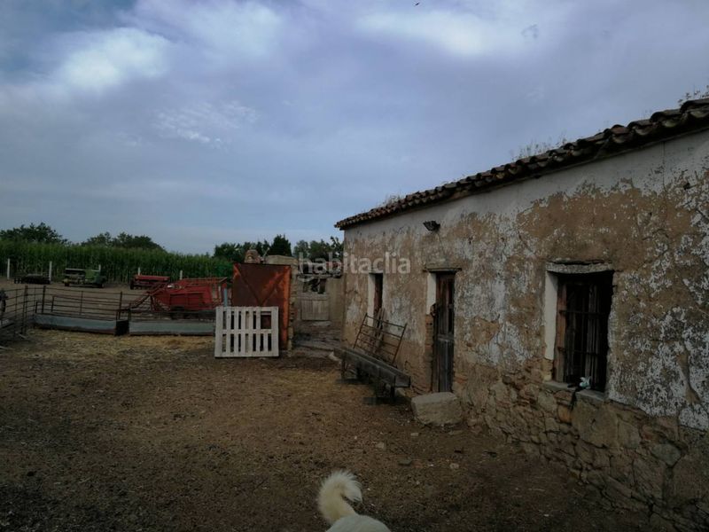 Foto d13afd0f-fa47-4787-8d5b-f4d7fd4e8498. Casa a Ciudad Rodrigo