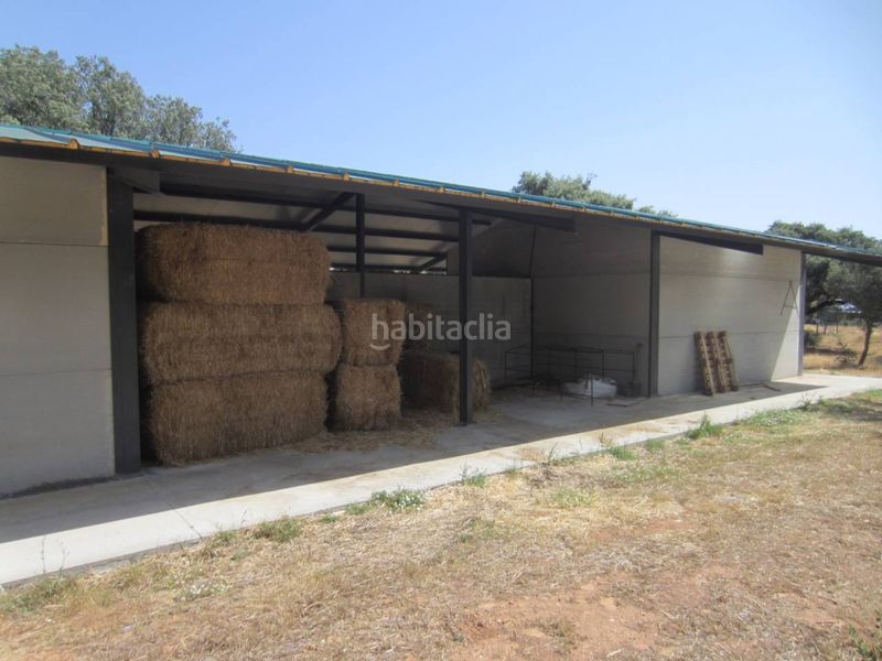 Foto 64a75d9b-4690-421c-996b-3284379c6a7c. Finca rústica a carretera pastores 1 a Ciudad Rodrigo