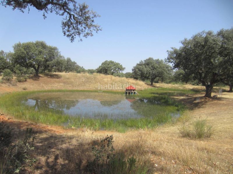 Foto be662539-42de-4e6c-8ddd-86ca454528ab. Finca rústica a carretera pastores 1 a Ciudad Rodrigo