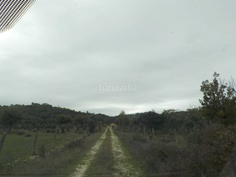 Foto 05cf7e09-ed50-4ba1-88a4-36350cce2e9c. Finca rústica a Puebla de Azaba