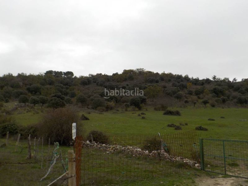 Foto 54753061-0347-4b3e-8945-3e8a84729a40. Finca rústica a Puebla de Azaba