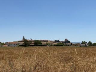 Finca rústica a Ciudad Rodrigo. Terreno en venta en ciudad rodrigo