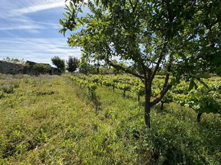 Terreny residencial a Ciudad Rodrigo. Parcela en venta en ciudad rodrigo