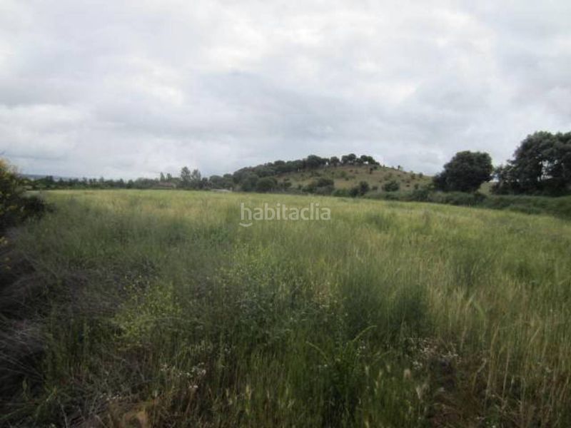 Foto 28c30ab0-3439-4028-b222-2443d85c9fc8. Finca rústica a Ciudad Rodrigo