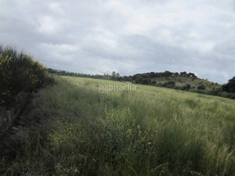Foto 5f58f73d-b986-45cd-8984-242e145e0bee. Finca rústica a Ciudad Rodrigo
