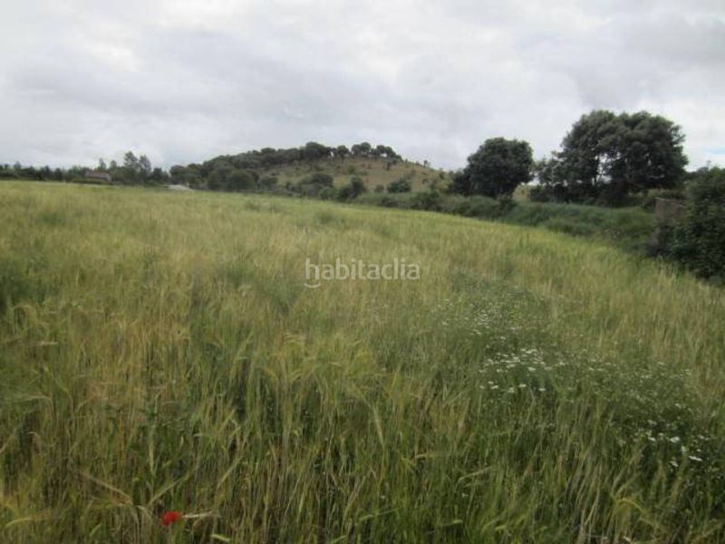 Foto f4eda605-8f1c-4e24-b089-b610ca1449bb. Finca rústica a Ciudad Rodrigo