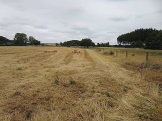 Landgut  Pasaje la dehesita. Finca de regadio en venta