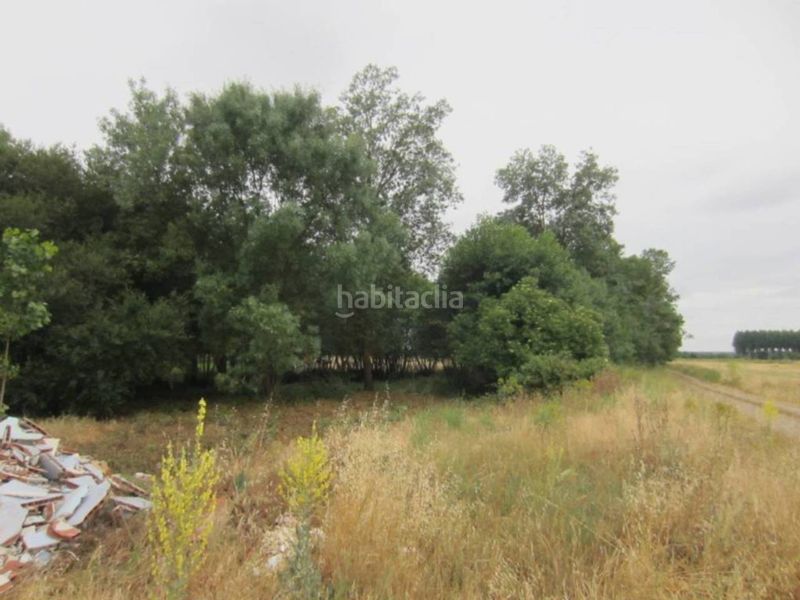 Foto 41e7a792-756f-41c2-8781-df66725b53ae. Finca rústica a Ciudad Rodrigo