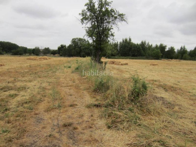 Foto 69ac7292-7471-4a99-8334-a92b8be70d37. Finca rústica a Ciudad Rodrigo