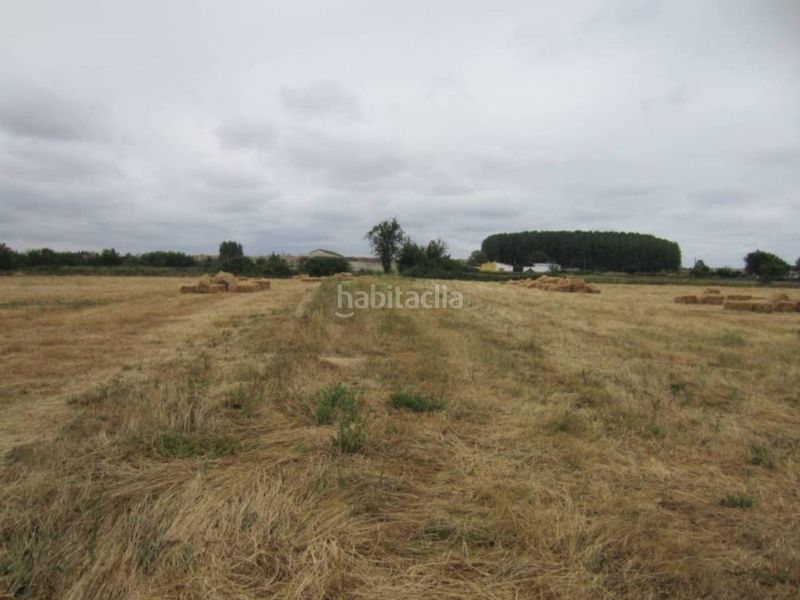 Foto ac933ade-e16f-4759-bfd8-8523235d2779. Finca rústica a Ciudad Rodrigo