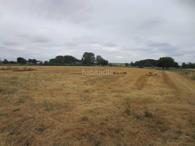 Foto b3234b00-739e-49ea-b822-cb89706bc098. Finca rústica a Ciudad Rodrigo