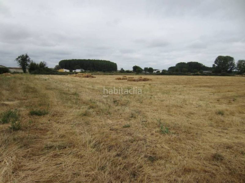 Foto c0d2629e-1e9b-4bdf-8395-083aa36a6677. Finca rústica a Ciudad Rodrigo