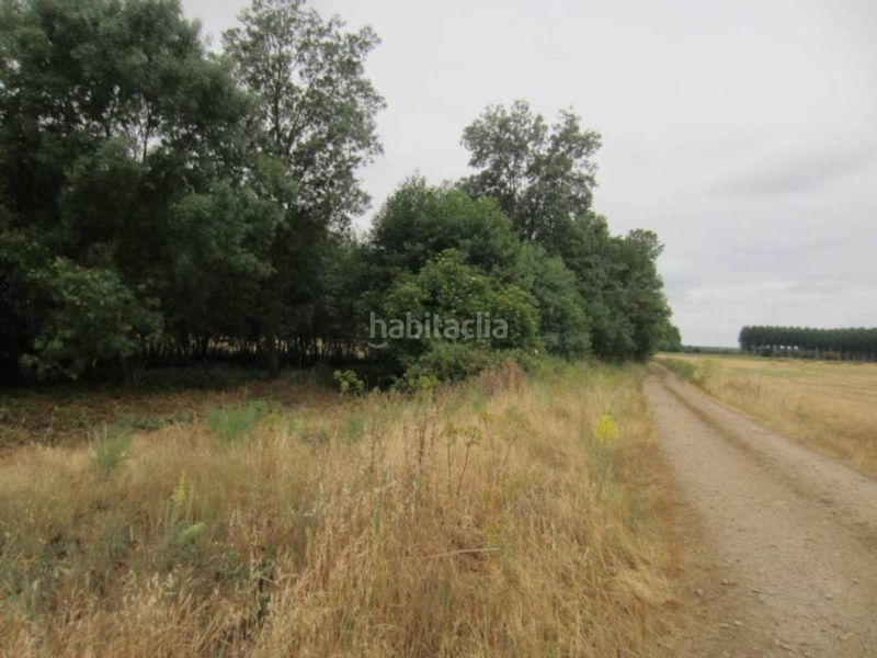 Foto cb69a4f3-a991-4d20-b149-76c72aadf036. Finca rústica a Ciudad Rodrigo