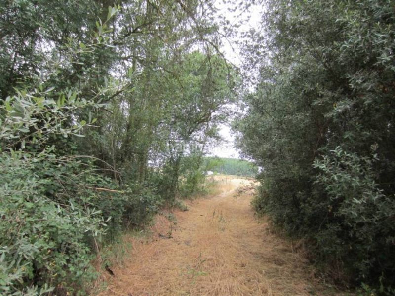 Foto d5c590c2-572a-4f34-a2b1-e1589c849e44. Finca rústica a Ciudad Rodrigo