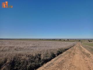Fondo rustico in Adrada de Pirón