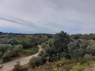 Rural plot  6. Finca rustica de monte bajo de venta en barbastro