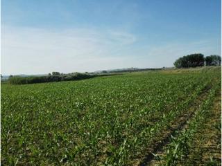 Finca rústica  Polg.. Finca rustica de regadío en venta en capdesaso