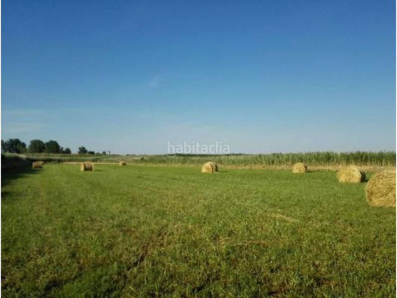 Foto 3d237018-4deb-4d79-9253-1612d1b5ae08. Finca rústica finca rustica en venta en Capdesaso