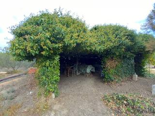Finca rústica  Piconill. Terreno de regadío en almacellas