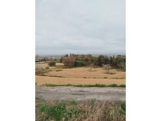 Finca rústica  Picunill. Venta de terreno en almacelles