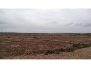 Finca rústica  3. Finca rústica de regadío en alcolea de cinca