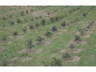 Finca rústica  19. Venta de finca rústica en barbastro