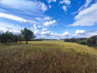 Finca rústica a Salas Altas. Venta de finca rustica en salas altas