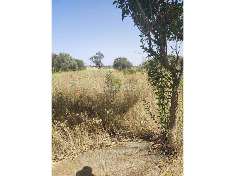 Foto 30e5ef70-e5d5-42fa-ad31-c1b8fff9b464. Solar industrial venta de solar urbanizable en Fonz