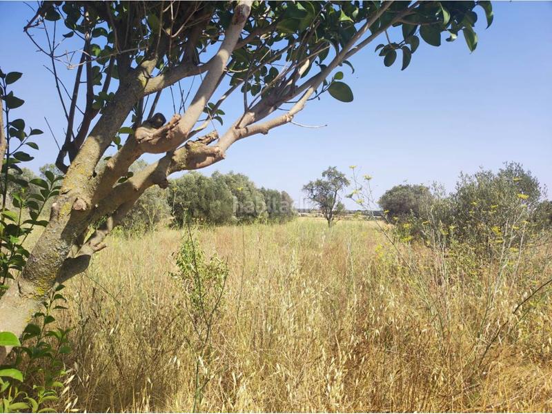 Foto 3260be4e-d85c-437e-84d7-b60cb461d5aa. Solar industrial venta de solar urbanizable en Fonz