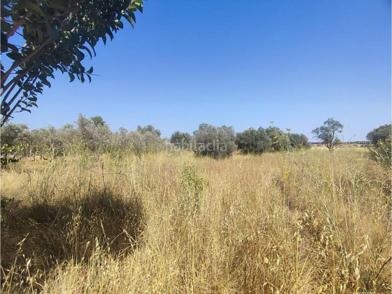 Foto 93c597f6-81e0-4240-ad37-28b50651e6f4. Solar industrial venta de solar urbanizable en Fonz