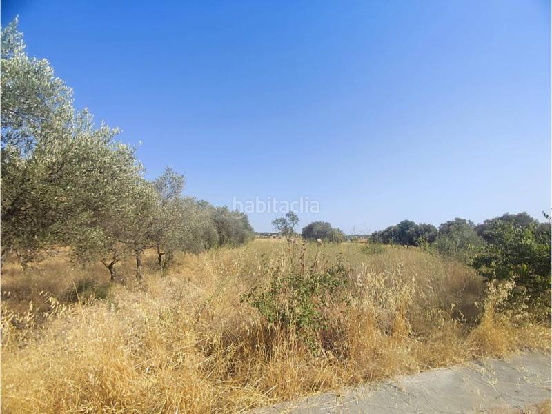 Foto 94216f08-df76-4667-a18a-e2941f60d2b6. Solar industrial venta de solar urbanizable en Fonz