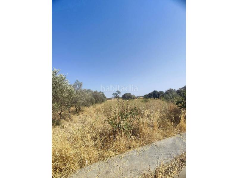 Foto ad86fc56-00a1-46f0-94f9-75031dec8fd3. Solar industrial venta de solar urbanizable en Fonz