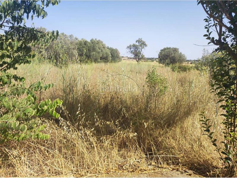 Foto d2b88f29-1f0c-437e-836e-4ed78a9670ff. Solar industrial venta de solar urbanizable en Fonz