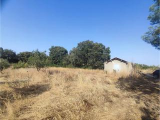 Finca rústica  Sasos. Venta de finca rústica en estadilla