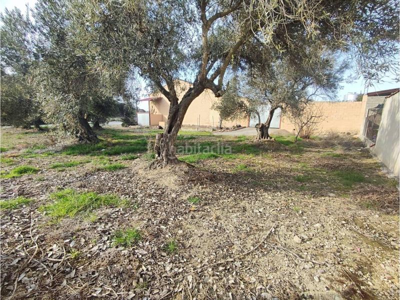 Foto 1cd2bbdc-1d2c-4520-9970-157e1c8b01a5. Nave industrial venta de nave industrial en Estadilla