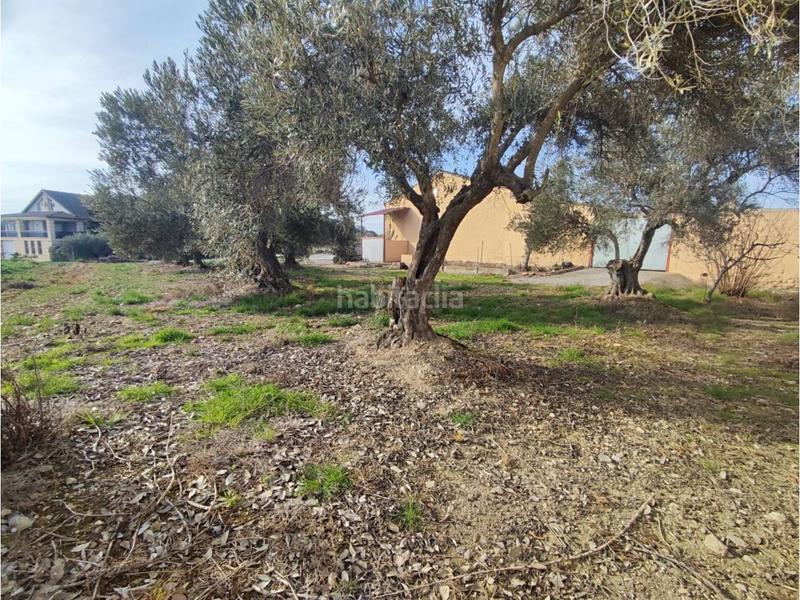 Foto 47e68ba3-aac2-499c-a640-d49d00af2bc2. Nave industrial venta de nave industrial en Estadilla