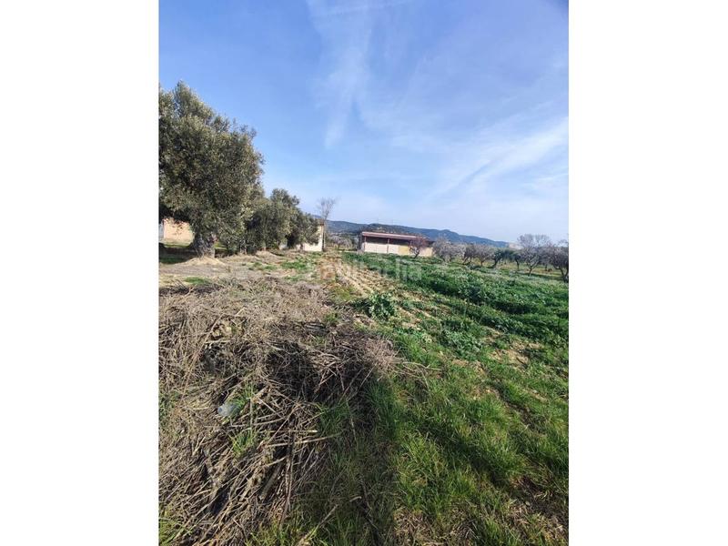 Foto 4c17967e-dce4-4cfa-a1eb-ed5146bcc726. Nave industrial venta de nave industrial en Estadilla