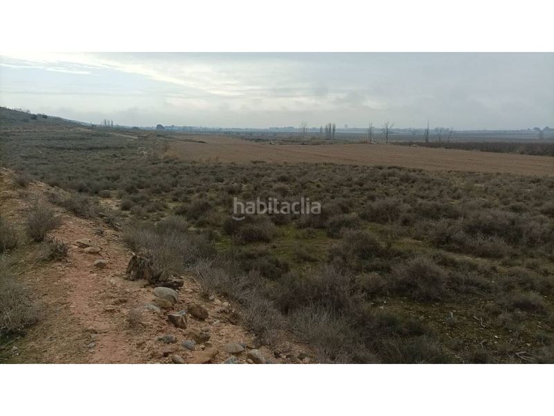 Foto 4dd8f098-92a4-411f-9a0b-7cdebc40b87c. Finca rústica a Albalate de Cinca