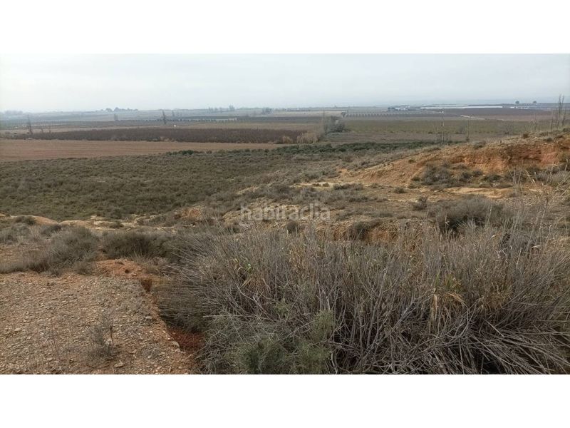 Foto 6b5f0646-8926-4e98-a0f8-8854df3225f4. Finca rústica a Albalate de Cinca