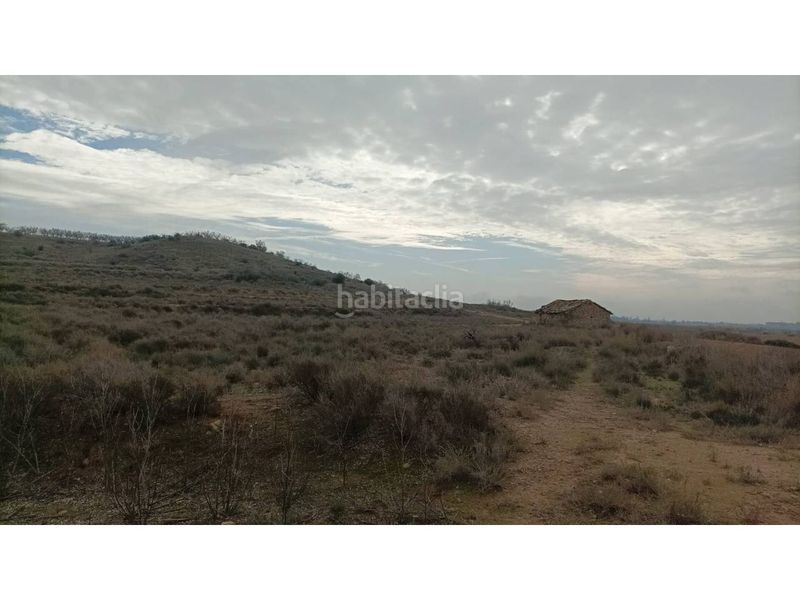 Foto aaa0ef7d-506c-4e36-baec-d4dac572a32e. Finca rústica a Albalate de Cinca
