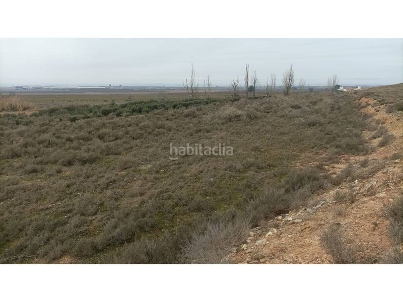 Foto eb3263fd-6477-47f5-87b8-1891d4c47cf3. Finca rústica a Albalate de Cinca