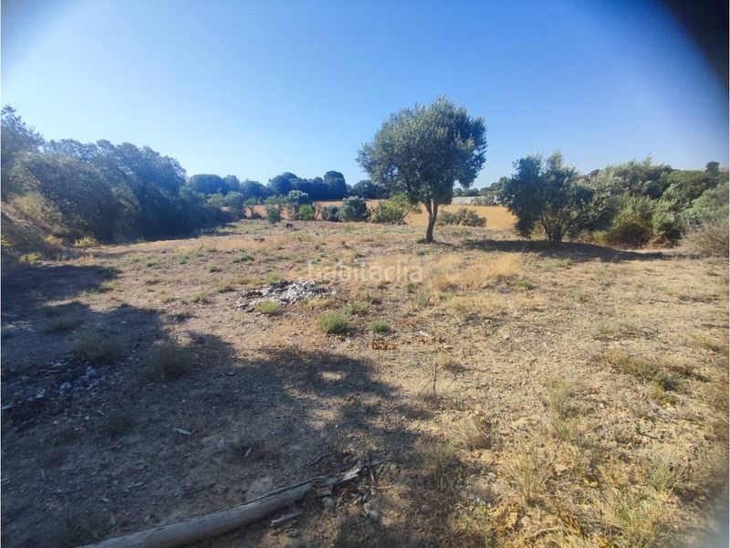Foto d44cb075-5a4a-4186-85f4-3d7647c809c1. Finca rústica a Barbastro